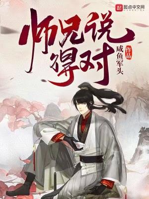 师兄说得对封面