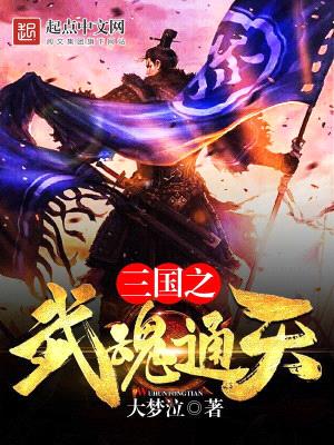 三国之武魂通天封面